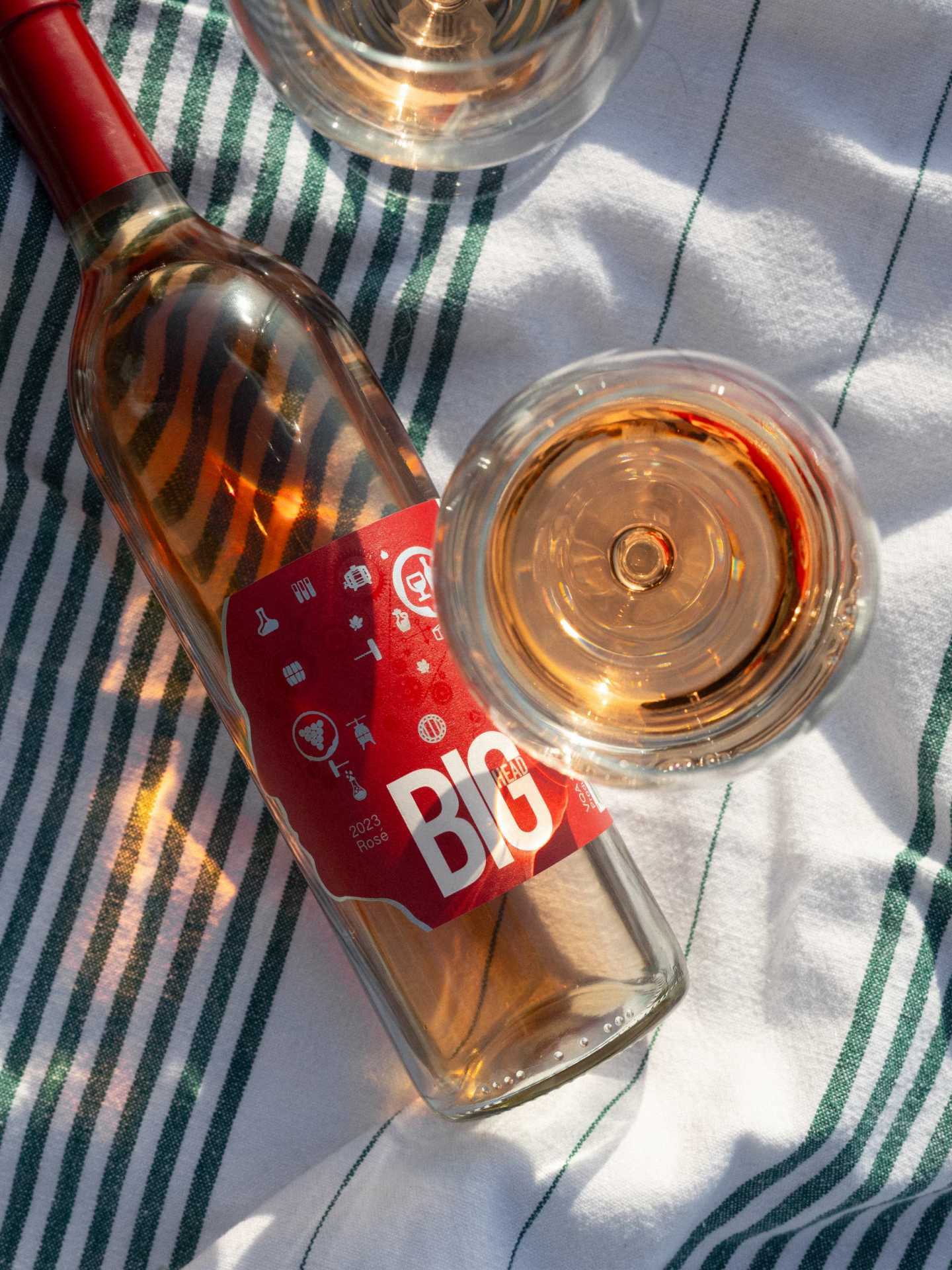 Ontario Wine Awards | Big Head wine on a picnic blanket