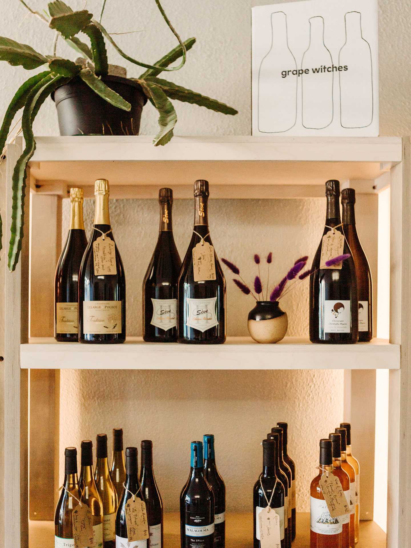 Toronto bottle shops and alcohol stores | A selection of wine at Grape Witches