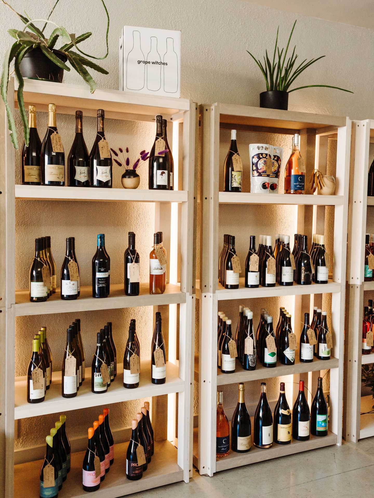 Toronto bottle shops and alcohol stores | Shelves of wine at Grape Witches