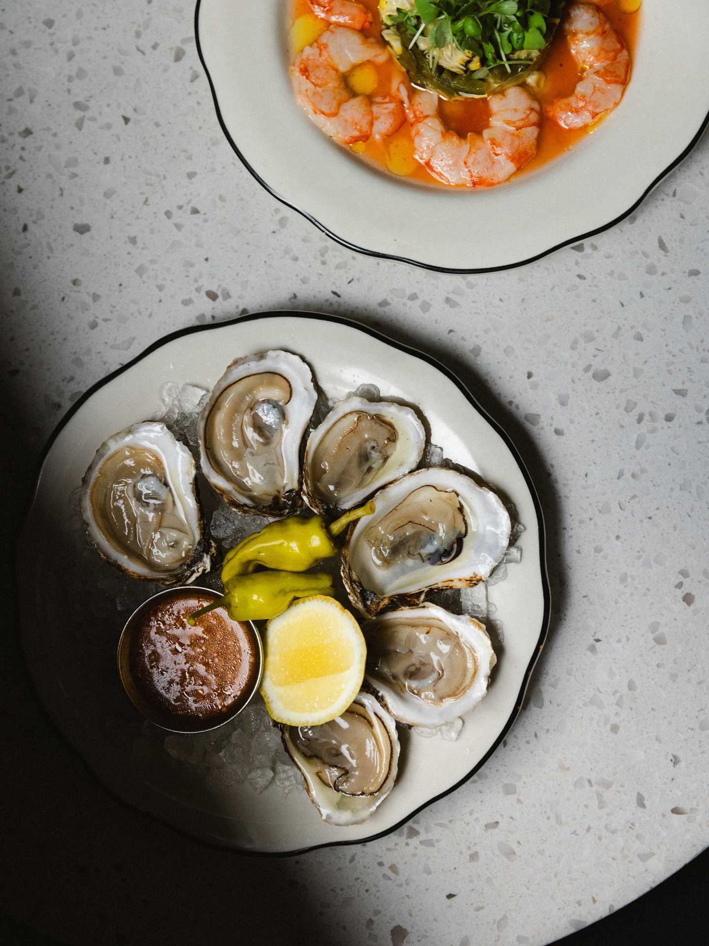 The best cafes in Toronto | A plate of oysters at Piccolo Caffe E Vino