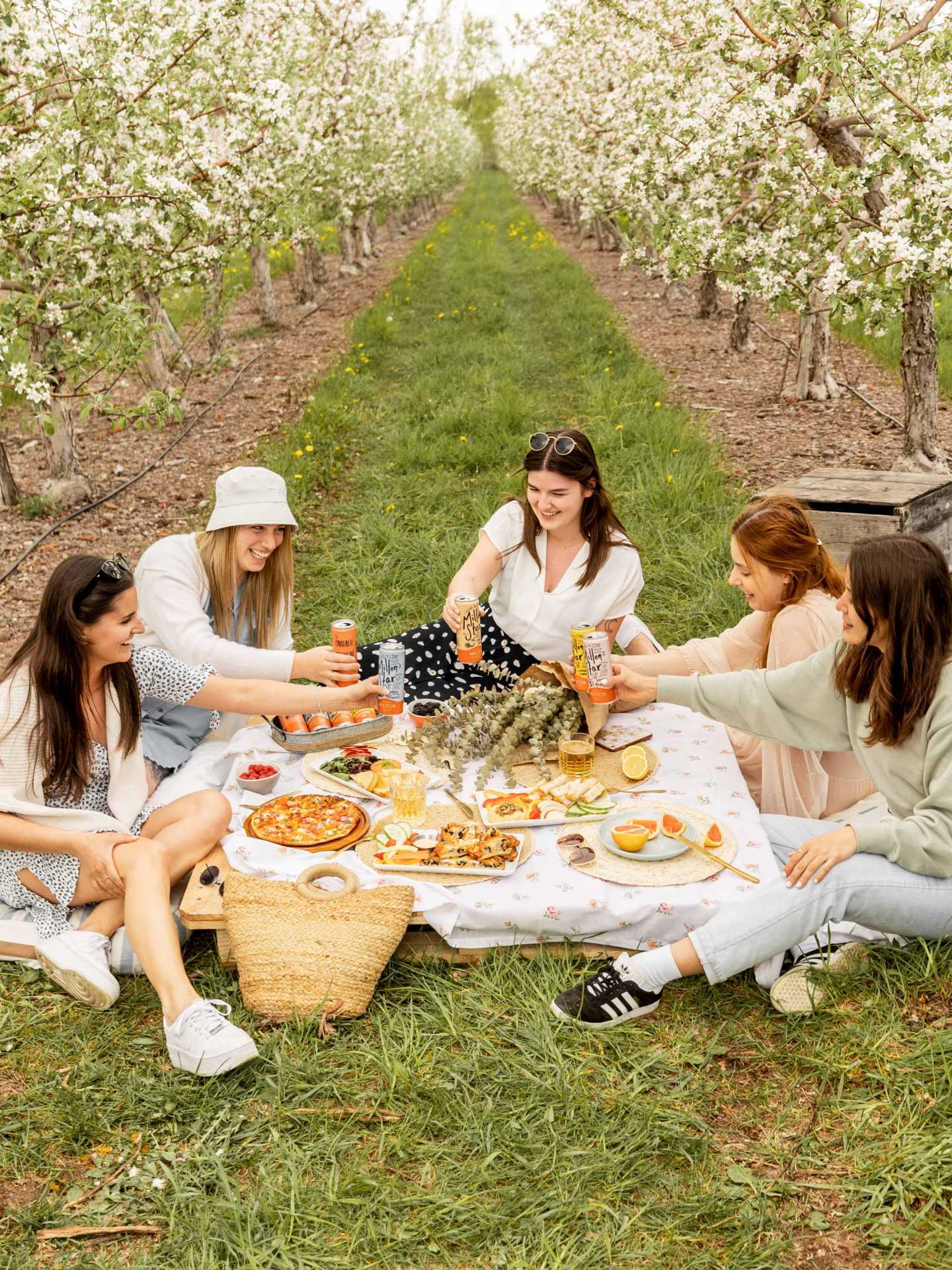 A group of friends having a picnic