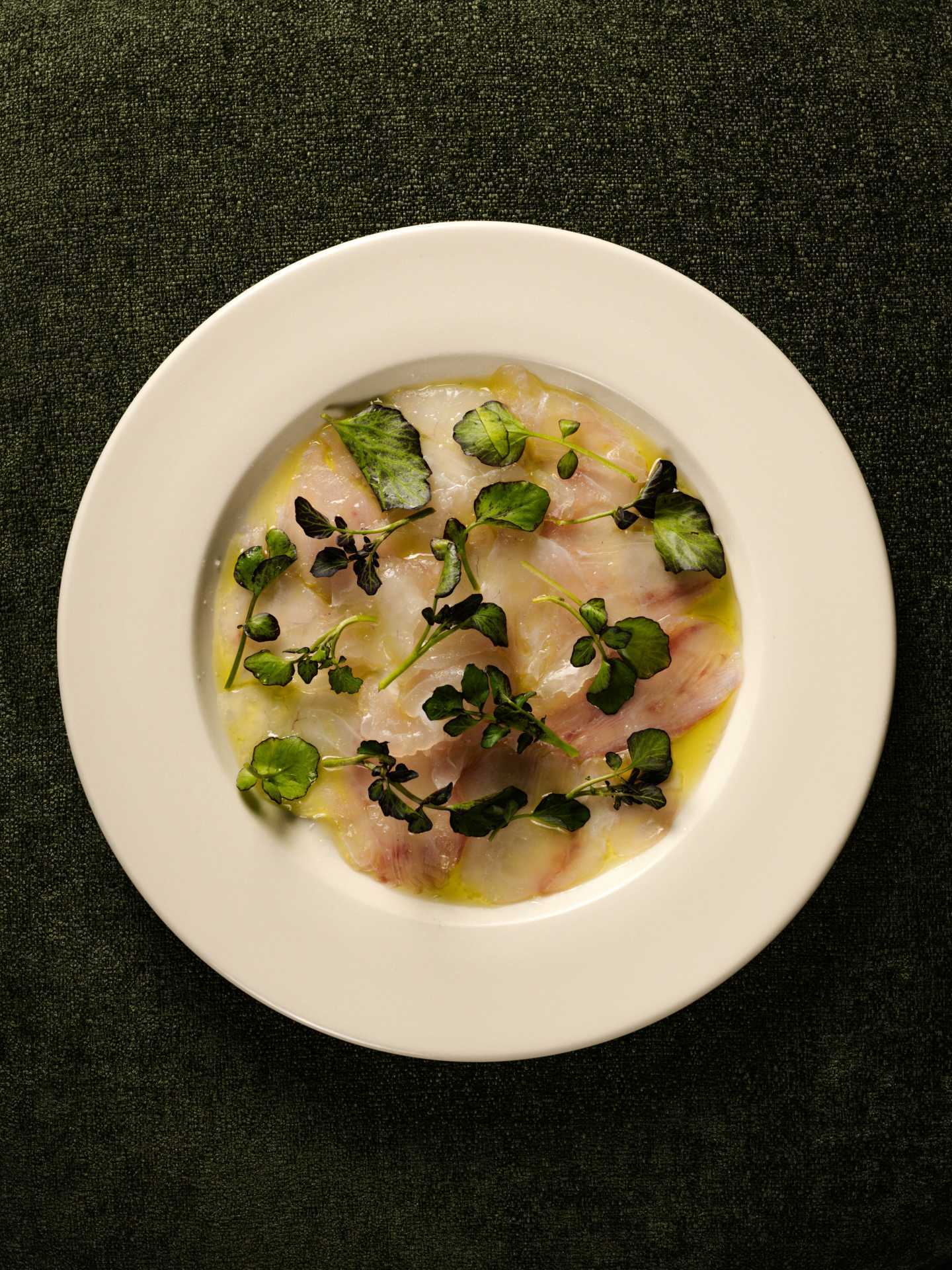 Best restaurants Toronto | Crudo at Linny's on Ossington