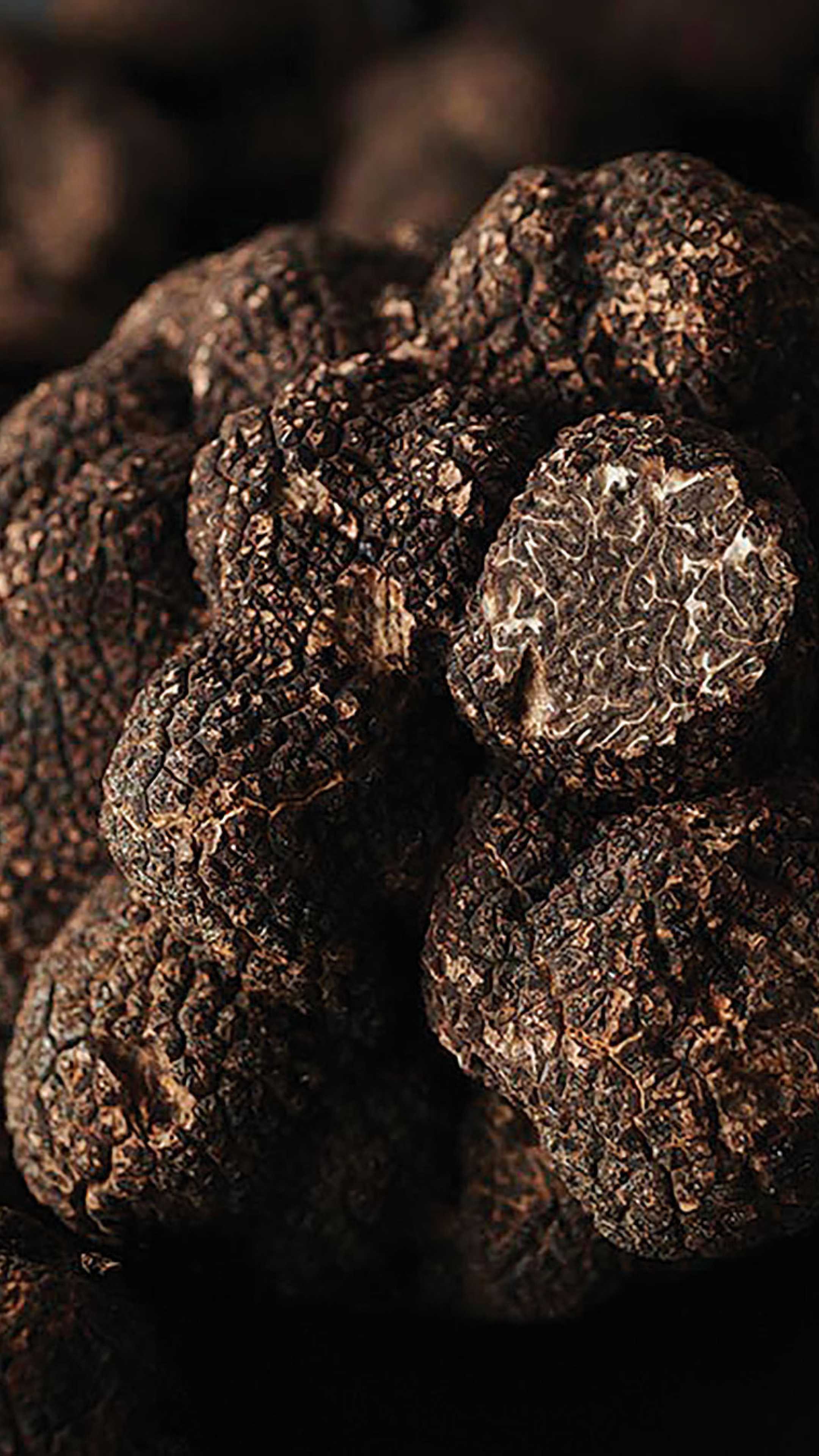 What are truffles? Everything you need to know | Foodism TO