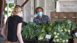 The freshest farmers’ markets in Toronto | Fresh lettuce at the Brickworks Farmers' Market