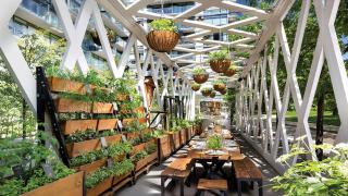 1 Hotel Toronto | The Garden Pavillion at 1 Hotel