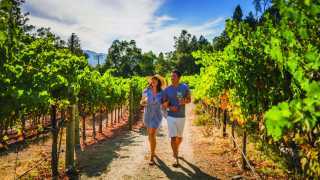 The best things to do in California | A couple stroll through vineyards