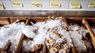 How to eat oysters | Oysters on ice at Oyster Boy in Toronto