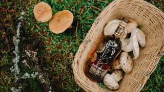 Bearface Matsutake whisky in a basket of mushrooms