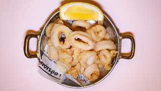 Toronto's best Greek restaurants | Calamari dish at Bar Koukla
