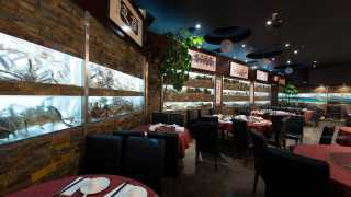 Best seafood restaurants in Toronto | Fish tanks at Fishman Lobster Clubhouse
