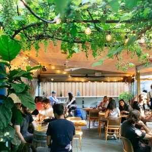 A group of people sitting on the patio at Paradise Grapevine with lots of plants