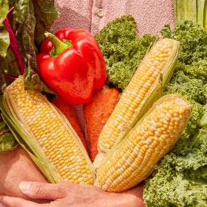 A person holding an assortment of vegetables