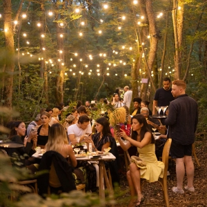A group of people sitting at a table in a forest with string lights