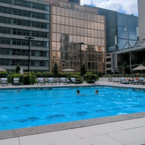 Guests swimming in the pool at the Sheraton Hotel