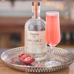 Holiday bottles to gift | Dillon's Dry Gin