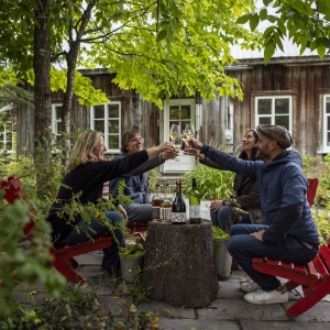 A group of young people cheersing wine