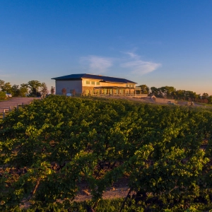 A beautiful Beamsville winery, Megalomaniac Wines
