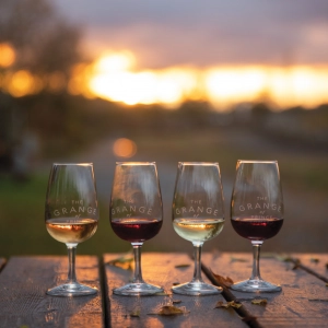 Prince Edward County | A lineup of wine glasses on the patio at Grange of Prince Edward winery