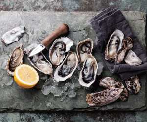 How to eat oysters | A plate of freshly shucked oysters