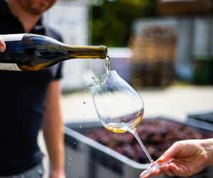 Natural wine Toronto | Pouring a glass of natural wine