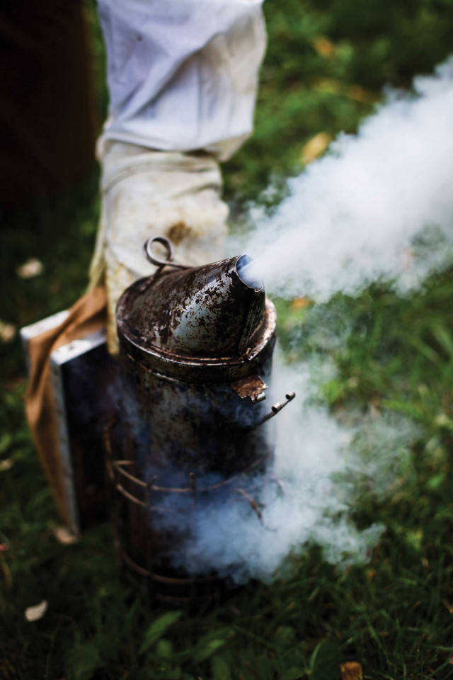 Canadian mead: smoking the bees Canadian mead: smoking the bees
