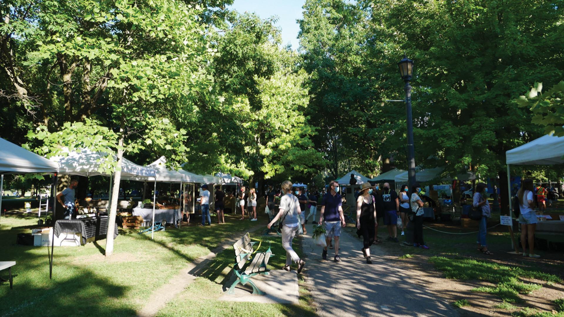 The freshest farmers’ markets in Toronto | The Trinity Bellwoods Farmers' Market The freshest farmers’ markets in Toronto | The Trinity Bellwoods Farmers' Market