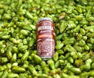 Bottle Service: Muskoka Harvest Ale