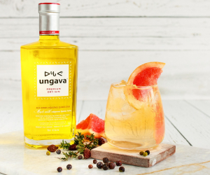 Gin cocktail recipes | A cocktail recipe with Ungava gin