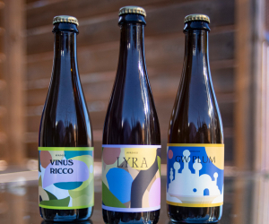 Burdock Brewery: three different beers