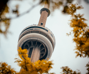 Toronto this October | The CN Tower surrounded by autumn leaves