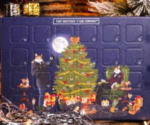 Advent calendars for grown-ups: That Boutique-Y Gin Company Advent Calendar