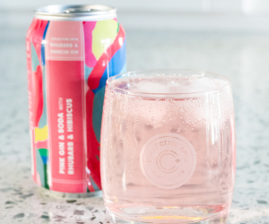 Collective Arts' new Toronto brewery | Collective Arts sparkling gin sodas in a can