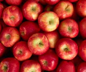 Love Food Hate Waste | Apples can be made into chutney or crumble to avoid waste