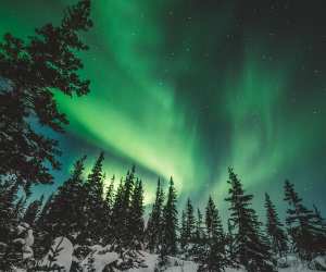 Visit Churchill Manitoba | The Northern Lights over treetops