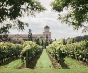 The best wineries in Niagara-on-the-Lake | Two Sisters Vineyards