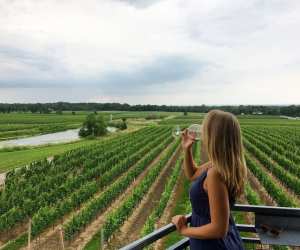 Niagara Wineries | Woman sipping wine overlooking vineyard at Flat Rock Cellars