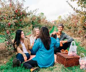 Drink ON Cider | Four friends enjoy a picnic among the apple orchards at Brantview Apples and Cider